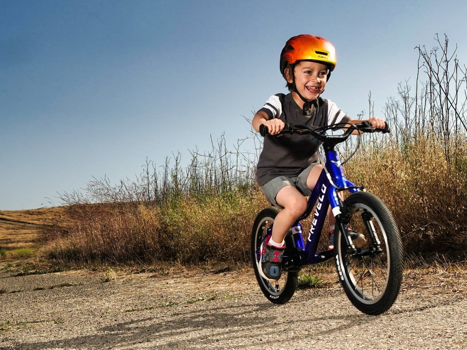 Meet the Alpha One & Alpha Two: The Ultimate First Pedal Bikes for Kids - Prevelo Bikes