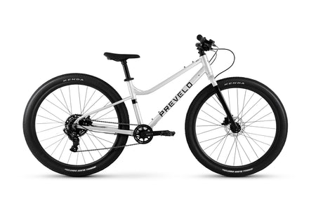 Prevelo Bikes - Alpha Five - Speed Silver