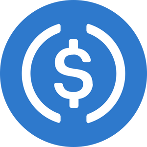 Payment Icon